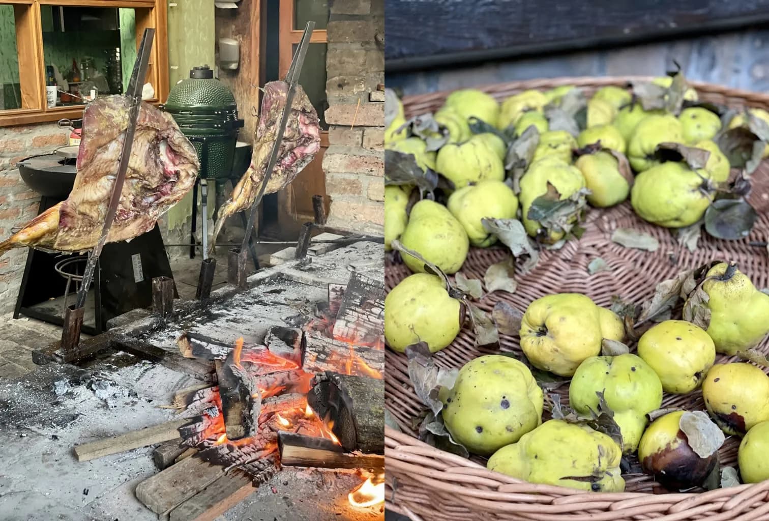 Neizostavni šaran u rašljama