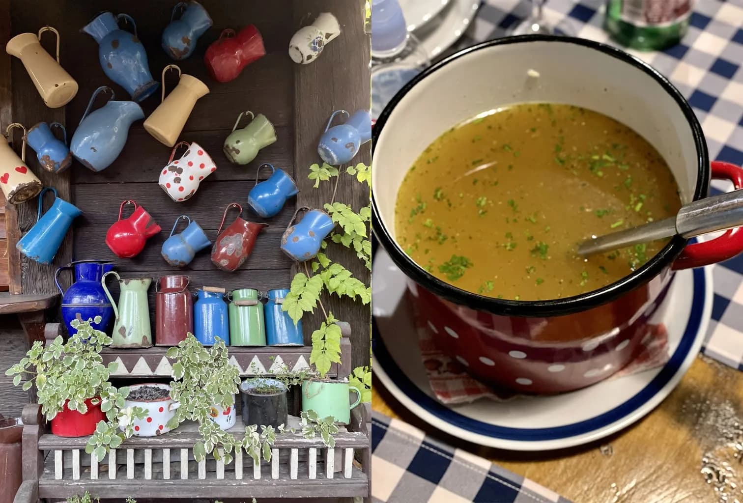 Domaća kokošija juhica