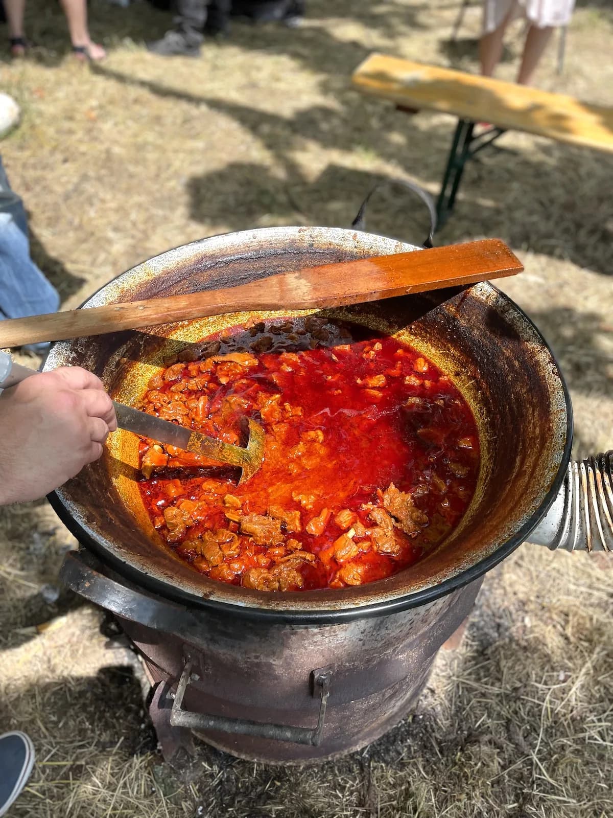 Ovčji čobanac — Foto:Mihael Tomić