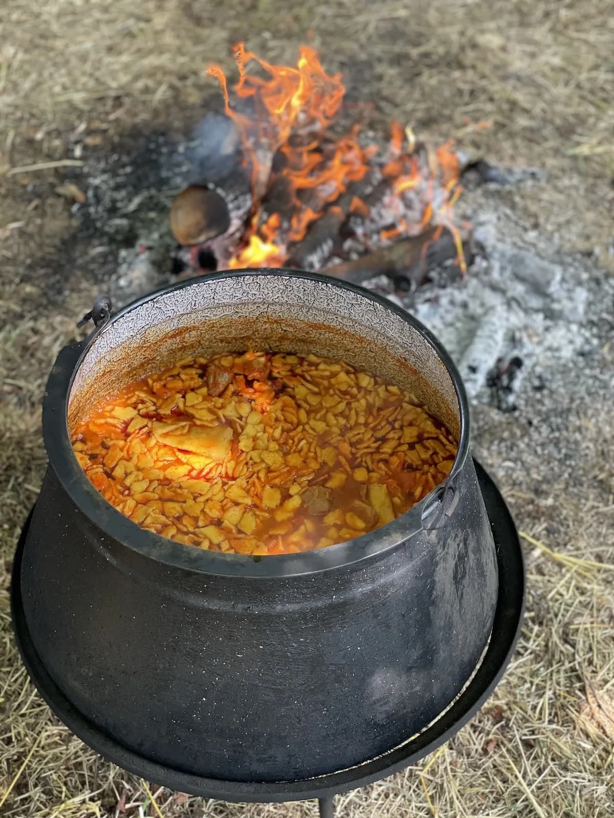 Natrgano na gusku — Foto: Mihael Tomić