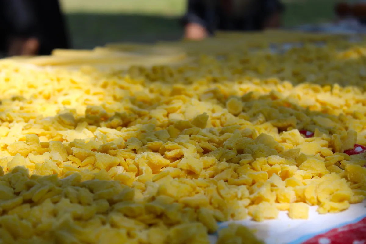 Foto: Josipa Glavurdić