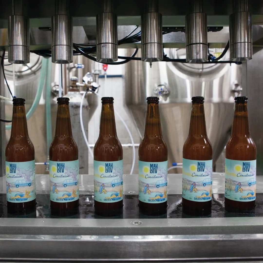 Foto: Ernest Mazerkić